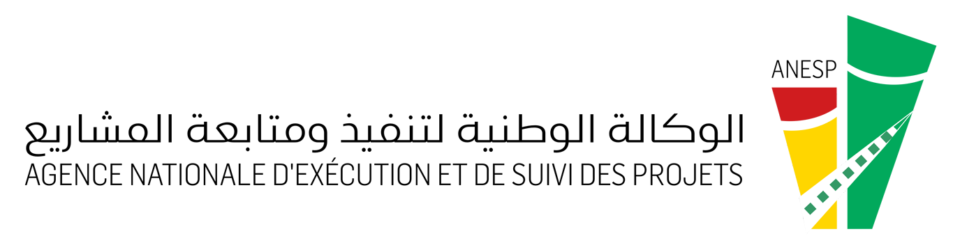 ANESP Logo